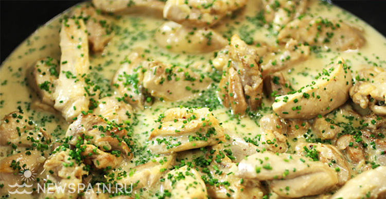 Соте из курицы с горчичным соусом по-баскски